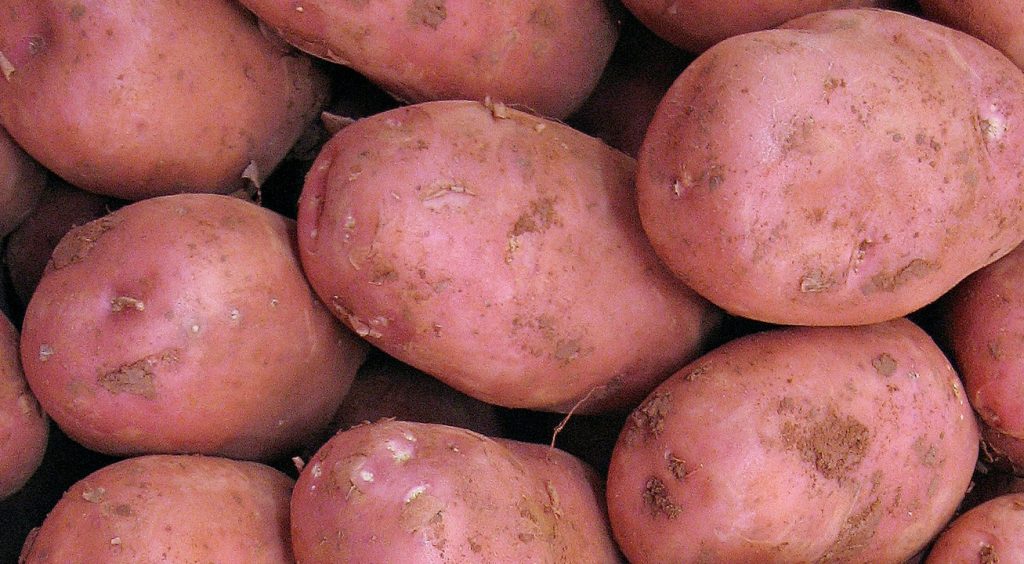 Maris Piper potatoes