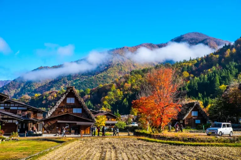 Balance Japan’s Fall Foliage with Maldives’ Dry Season Insights
